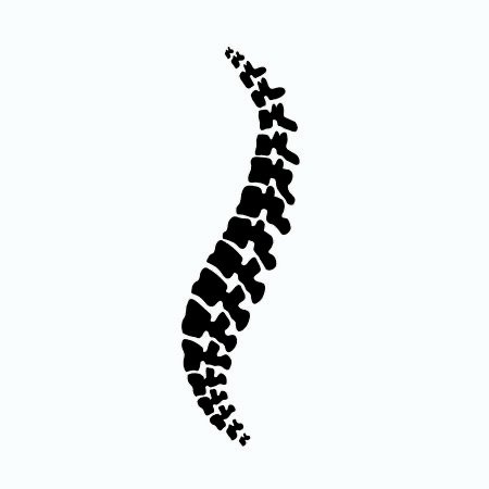 Real Life Guide to Pilates